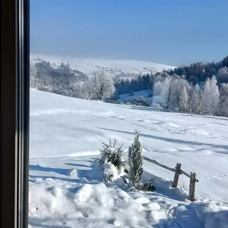 Lägenhet 